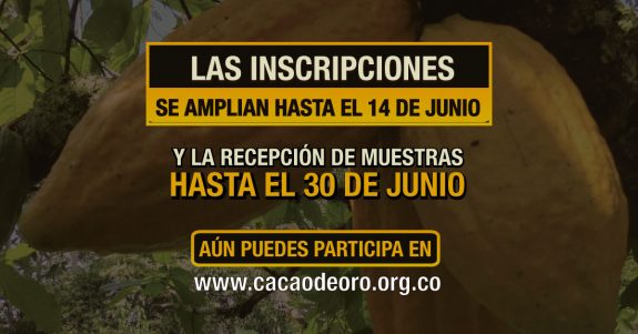 ampliacion-de-inscripcion-blog