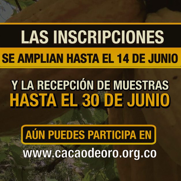 ampliacion-de-inscripcion-blog