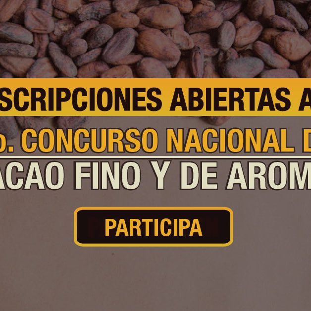 7mo-concursoCacaodeOro