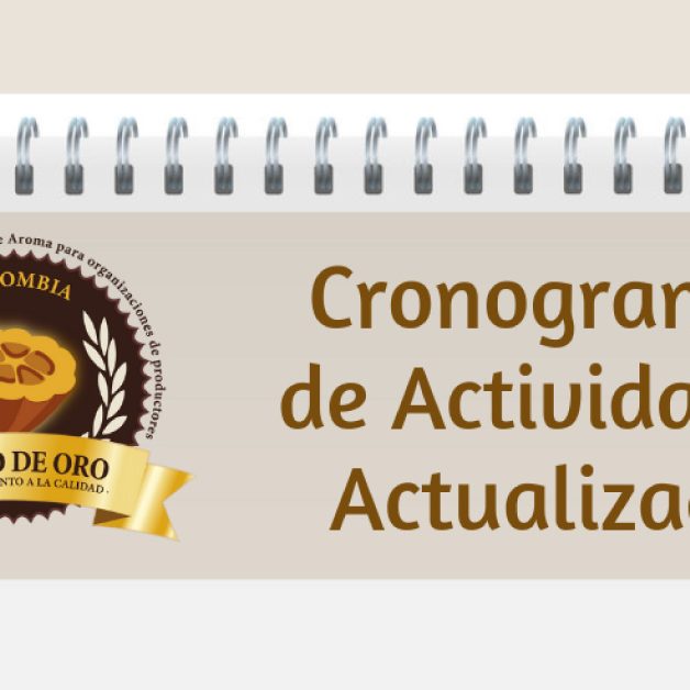 Cronograma-actualización