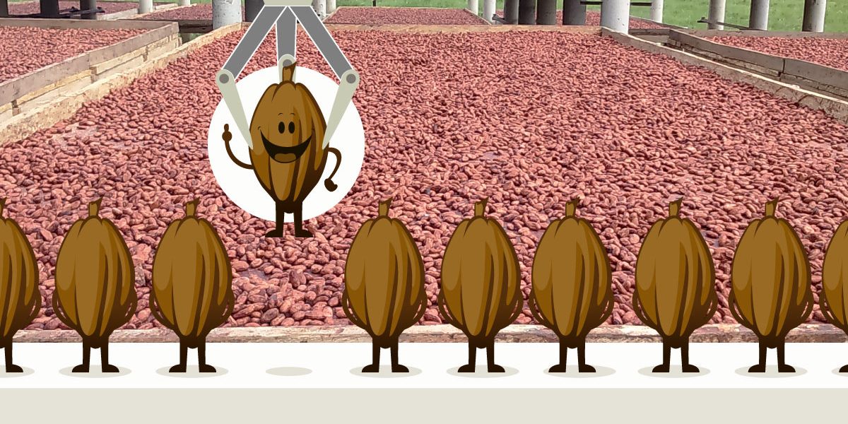 1ra etapa del Concurso, seleccionados a 2da etapa Cacao de oro