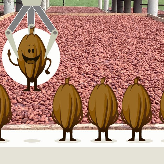 seleccionados-1ra-etapa-Cacao-de-Oro 1ra etapa del Concurso, seleccionados a 2da etapa Cacao de oro