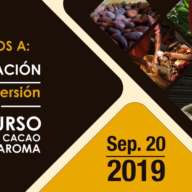 premiacion-Cacao-de-Oro-BLOG premiación Cacao de Oro 2019