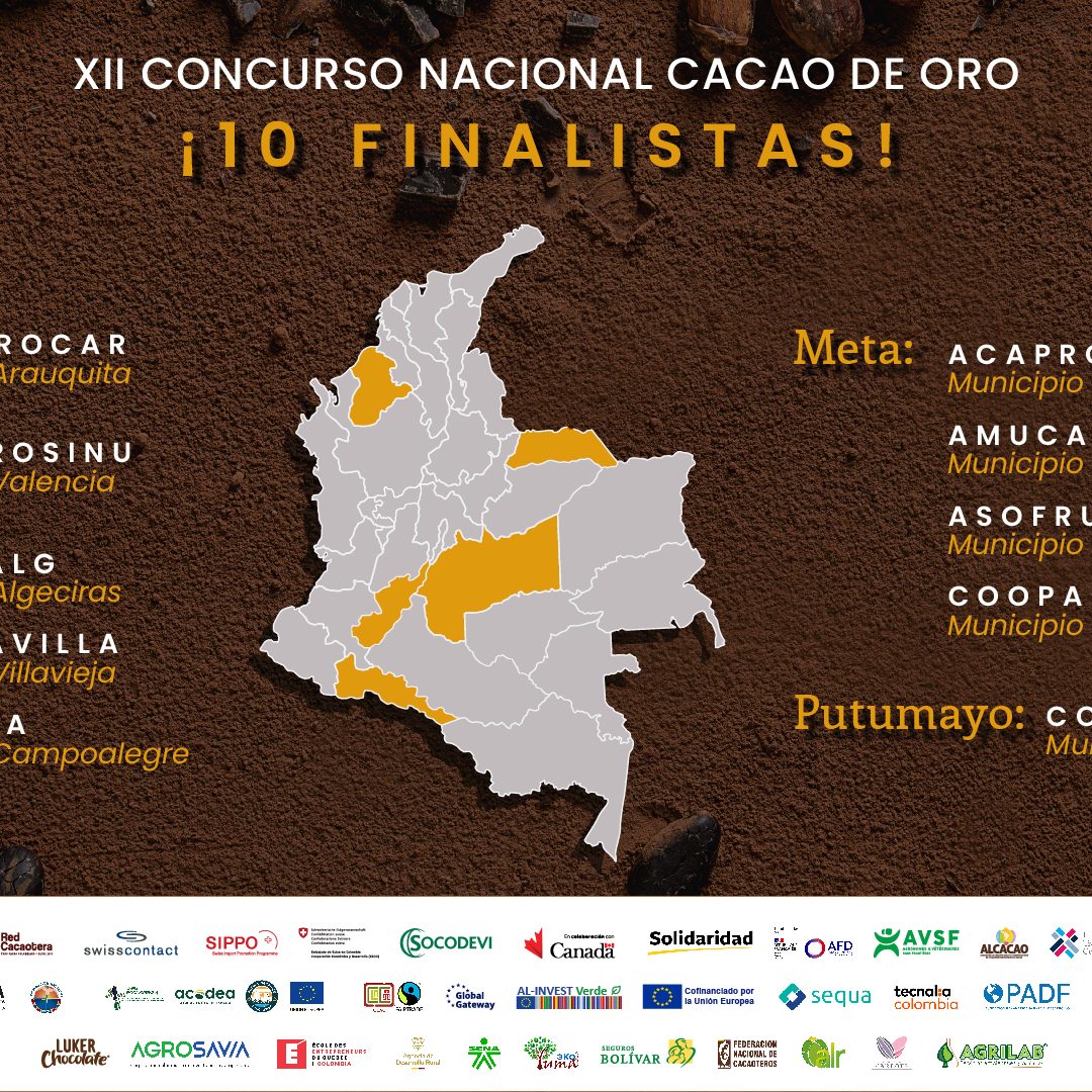 Finalistas 2025_Mesa de trabajo 1